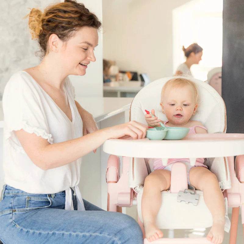 Feeding & Accessories