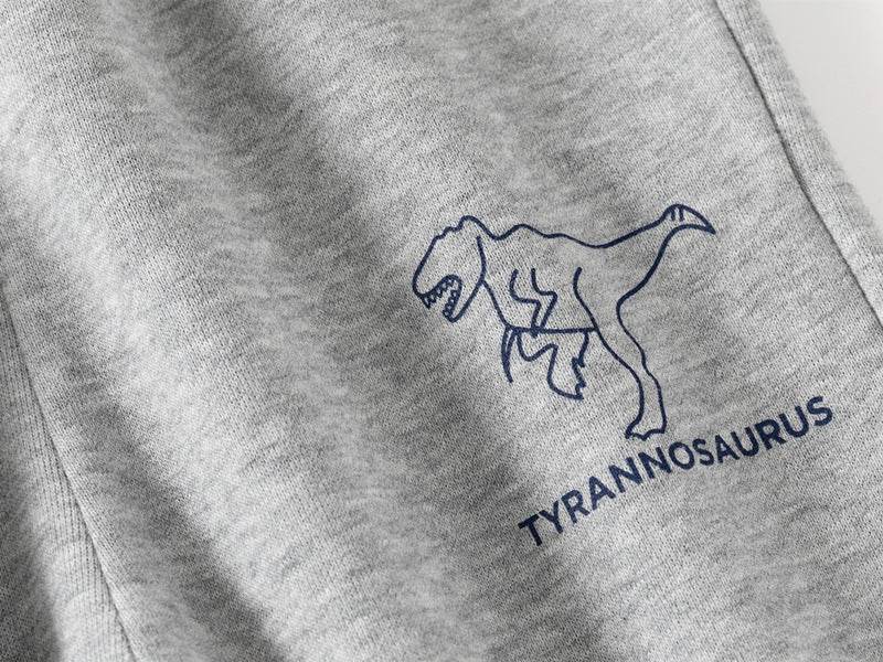 Boys’ Dinosaur Print 2-Piece Set - Farazirra